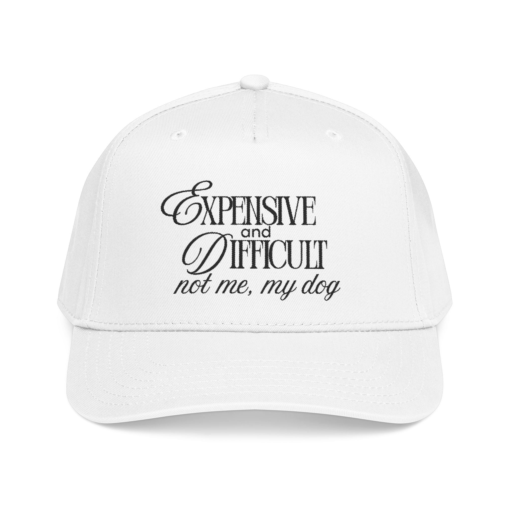 Expensive & Difficult Dog Baseball Cap