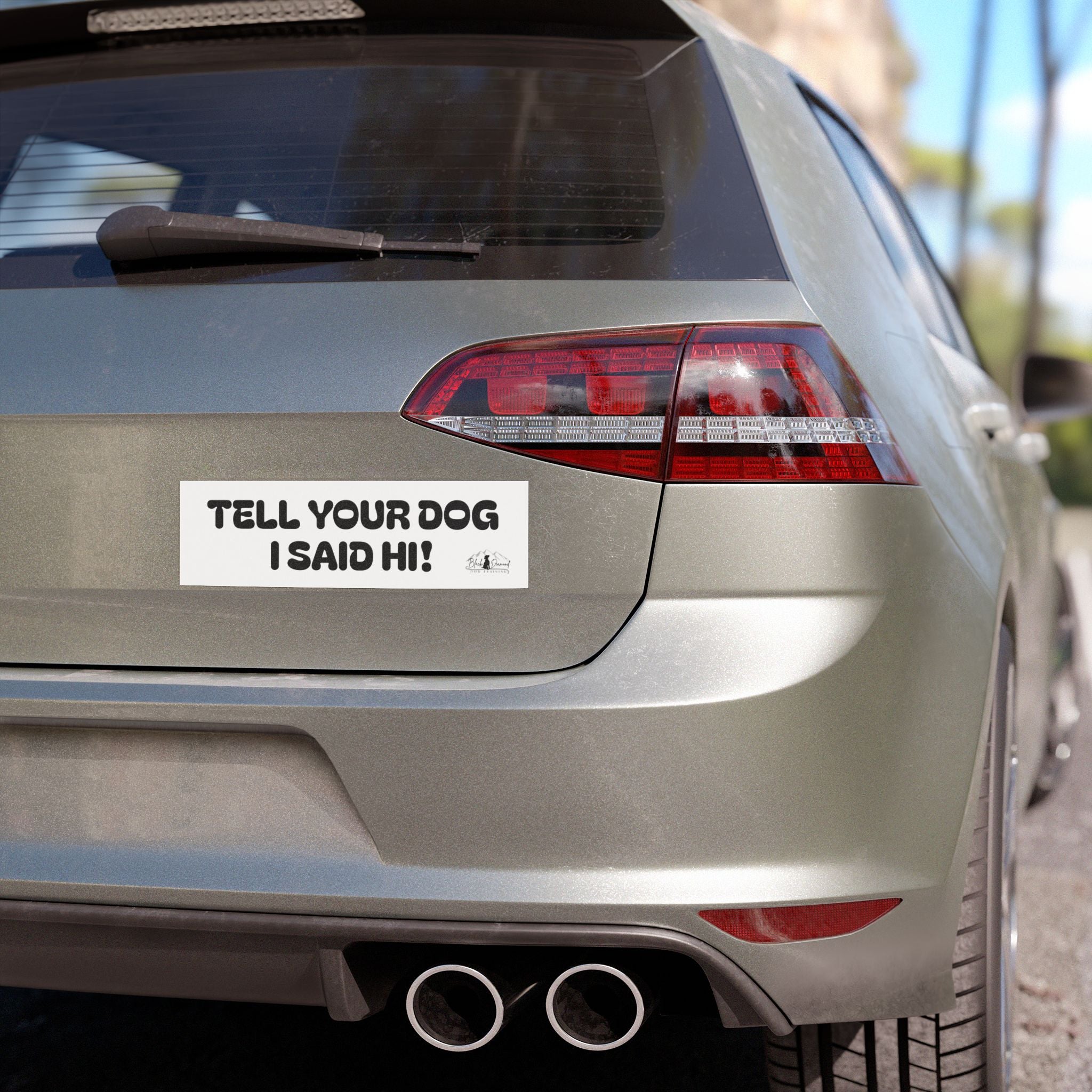 Car Magnet — "Tell Your Dog I Said Hi!"