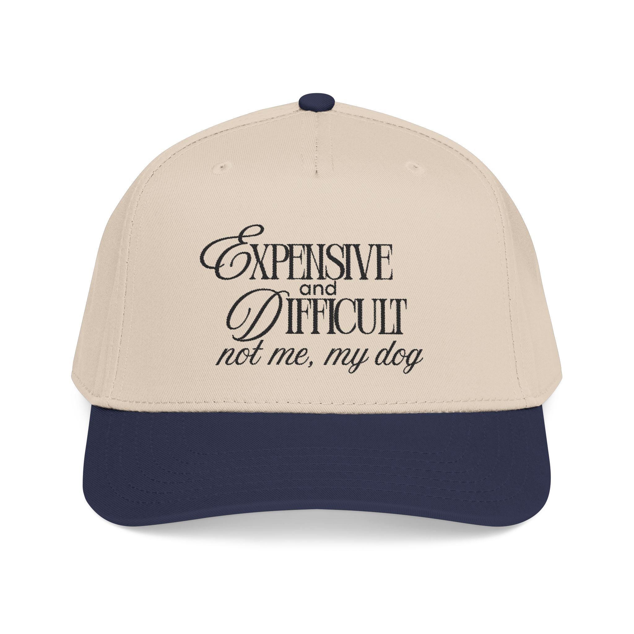 Expensive & Difficult Dog Baseball Cap