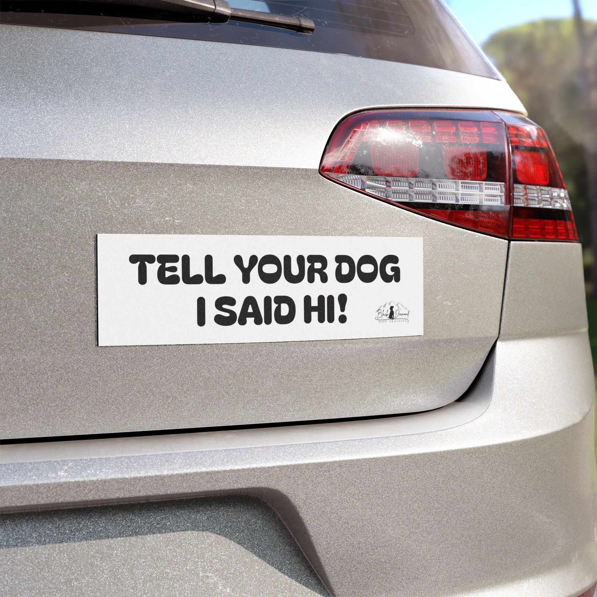 Car Magnet — "Tell Your Dog I Said Hi!"