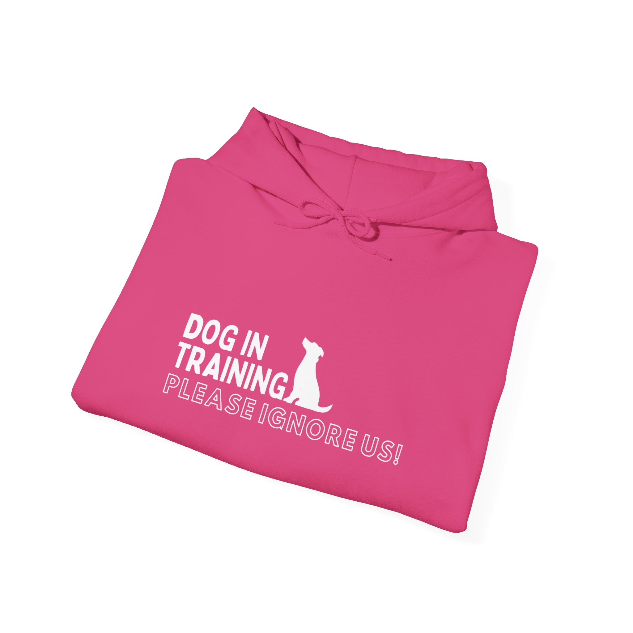 Dog In Training, Not Friendly Hooded Sweatshirt