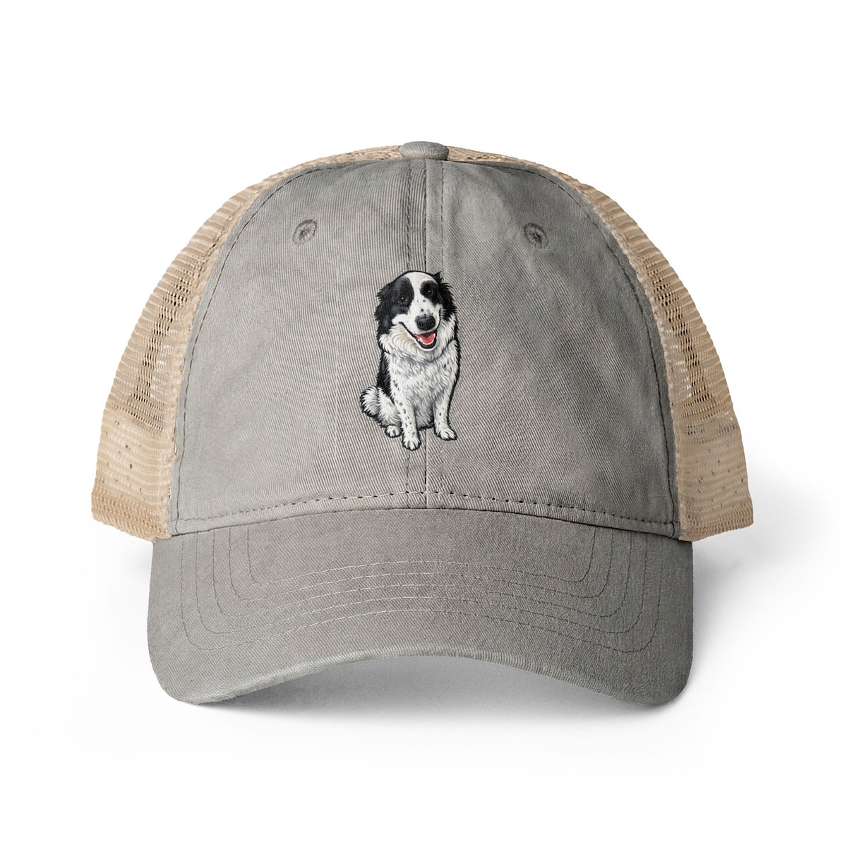 Casey Washed Mesh-Back Cap