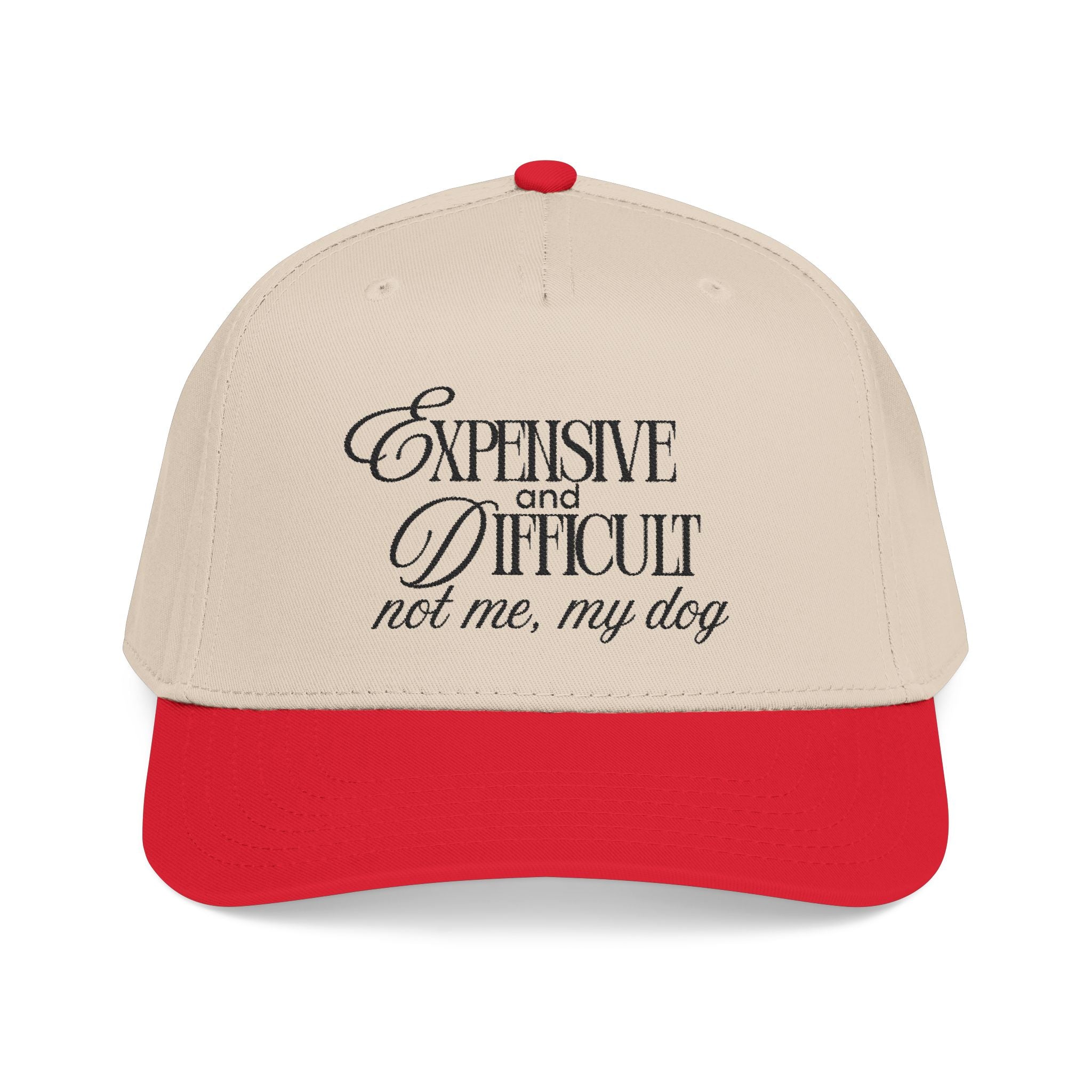 Expensive & Difficult Dog Baseball Cap