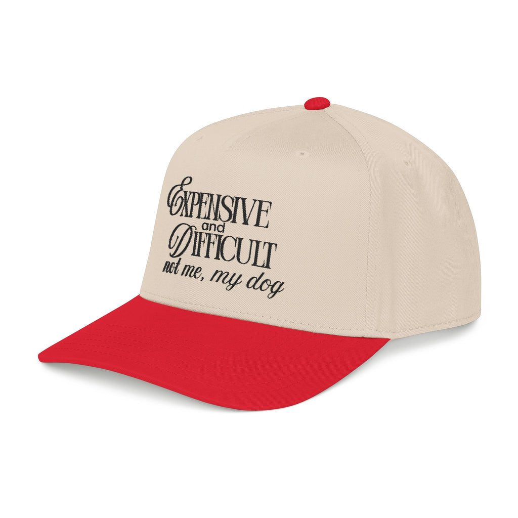 Expensive & Difficult Dog Baseball Cap