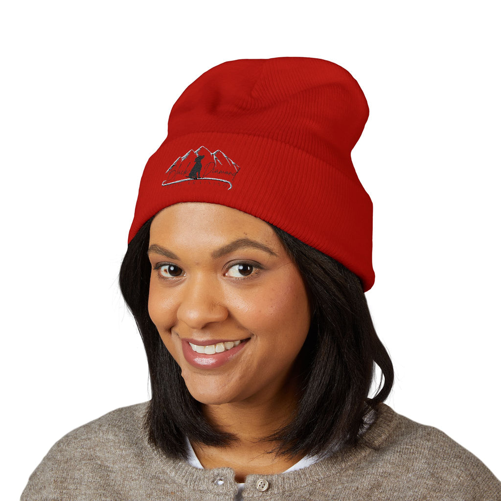 BDDT black logo beanie