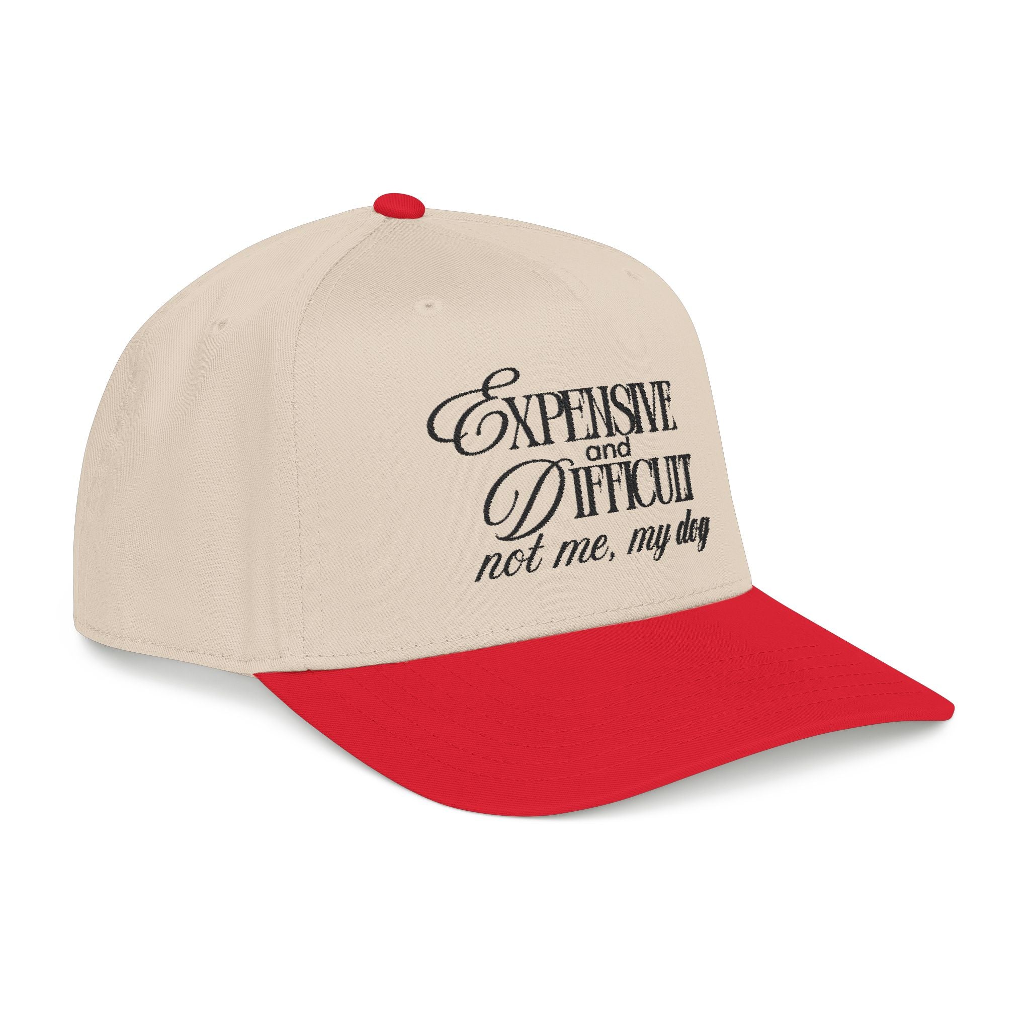 Expensive & Difficult Dog Baseball Cap