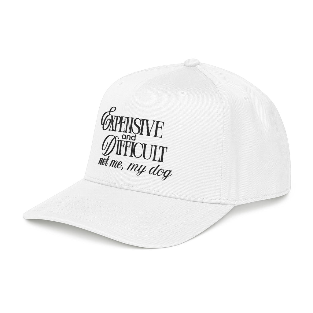 Expensive & Difficult Dog Baseball Cap