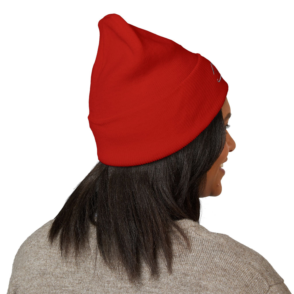 BDDT black logo beanie