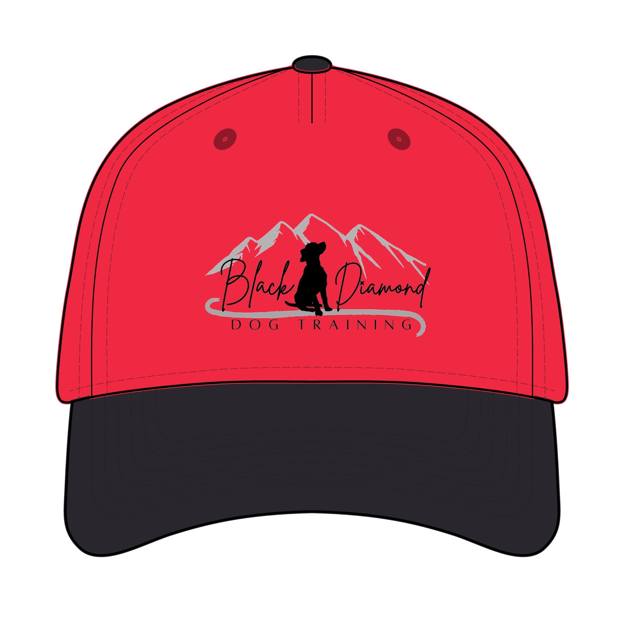 BDDT Baseball Cap