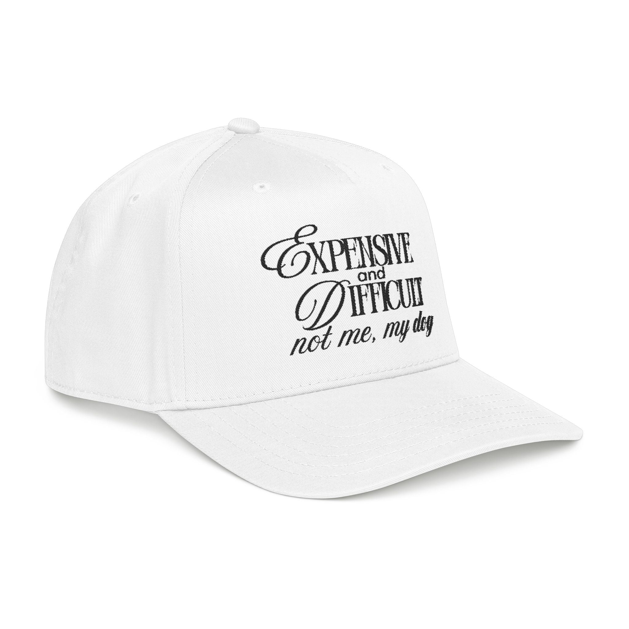 Expensive & Difficult Dog Baseball Cap